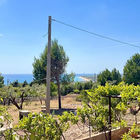 Apollo By Puglia On Line Daire