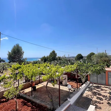 Apollo By Puglia On Line Apartamento