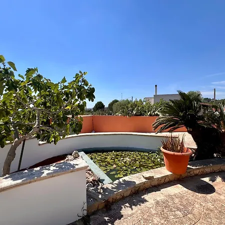 Apartamento Apollo By Puglia On Line